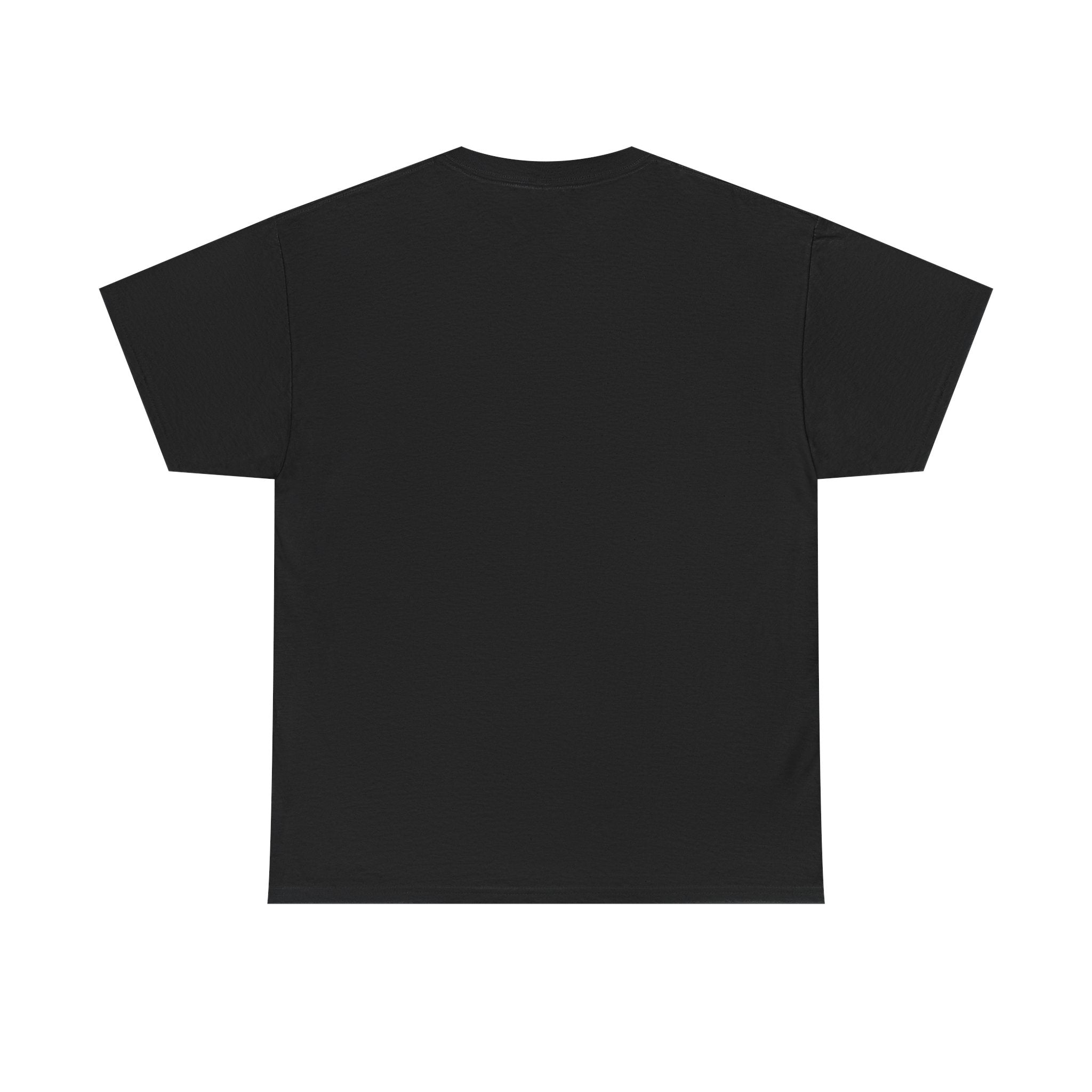 US T-shirt, funny, viral, menswear
